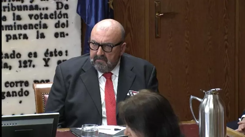 Koldo García, en su comparecencia en la comisión del Senado por la compra de mascarillas en la pandemia